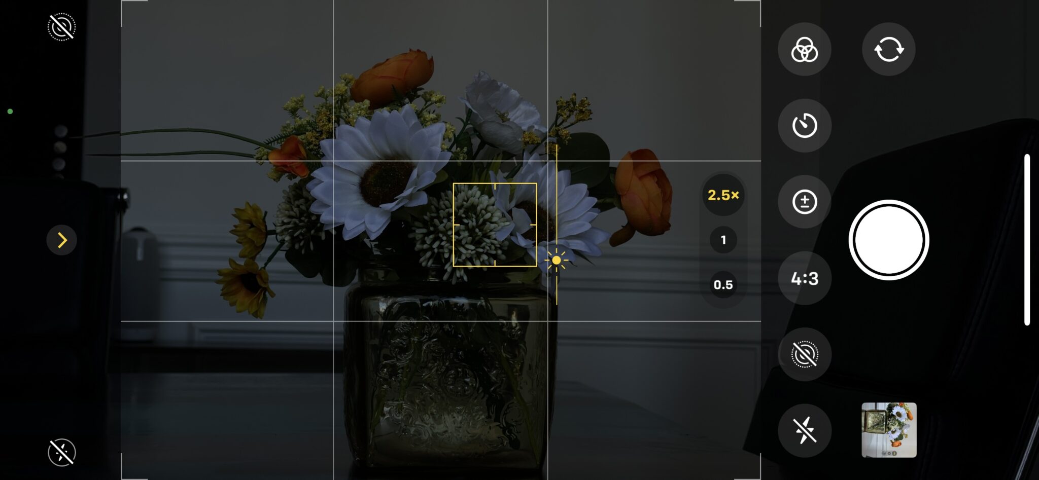 iPhone Camera Tricks Tips for iPhone Photography
