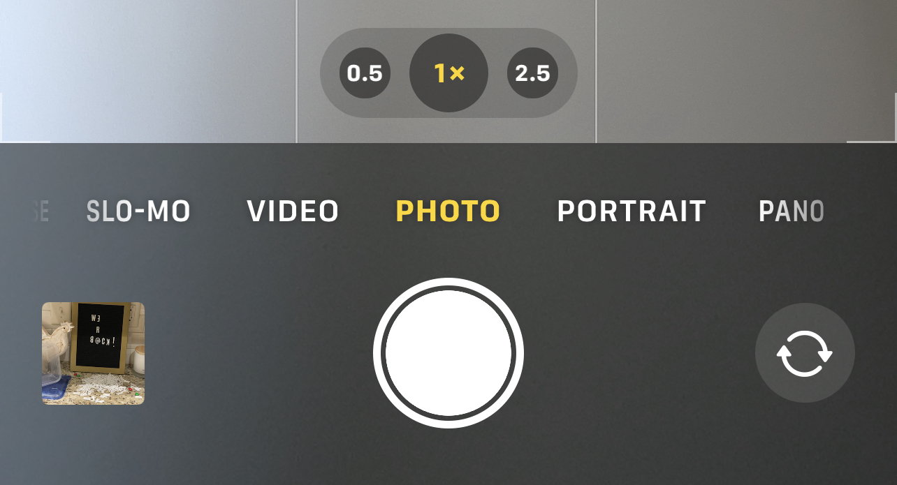 Screenshot of zoom button on iPhone camera