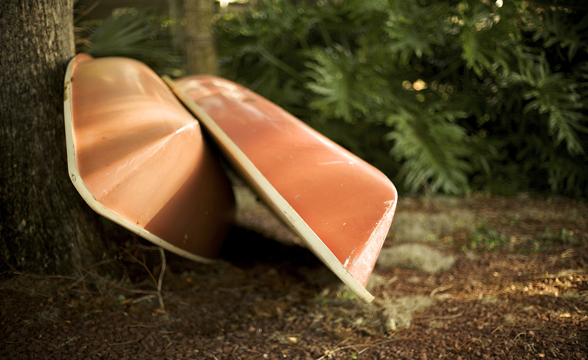 two orange boats leaning against tree